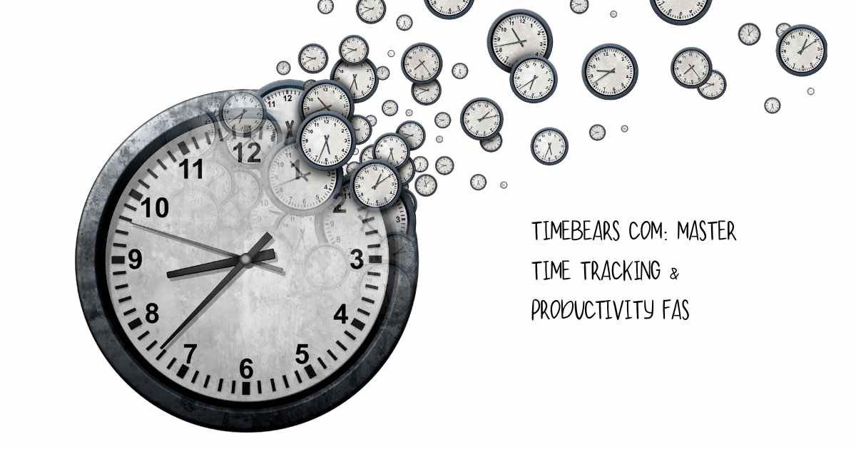Timebears com interface showing productivity analytics dashboard